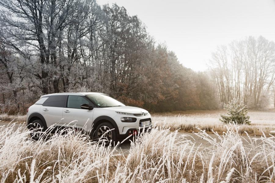  Citroen C4 Cactus 2018 года  (WW) (фото 28 из 40)
